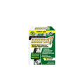 Imnunofort - immunity booster